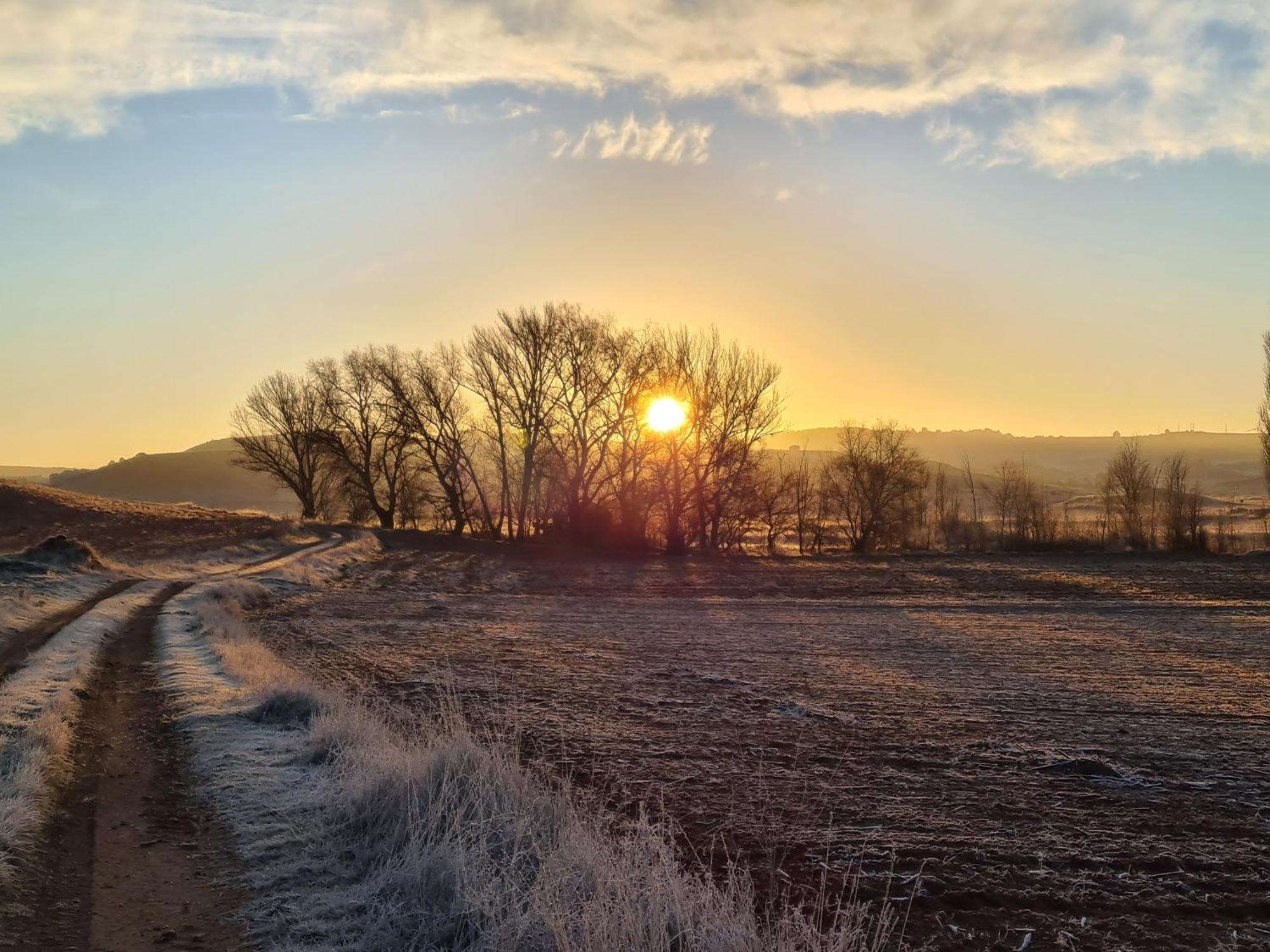 La Quinta Rural Otel Valeria Dış mekan fotoğraf